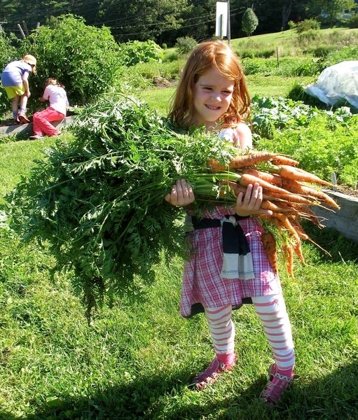 Morris Farm opening up plots | Wiscasset Newspaper