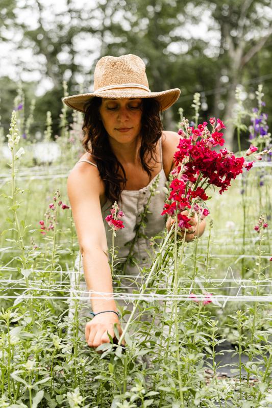 Flower cascade at the Wiscasset Art Walk on August 29