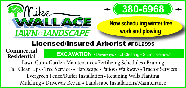 Lawn, Landscape and Tree Services