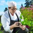 Fiona Dunlap's petite lobster bake wasn’t just something familiar to her – it was also the People’s Choice Award winner at Wednesday’s Claw Down. Dunlap, seen here plucking herbs from a garden, is Newagen Seaside Inn and Restaurant’s executive chef. BEN BULKELEY/Boothbay Register