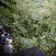 #bird-column, #La Soufrière volcano, #birds, #st-vincent, #jeff-and-allison-wells, #boothbay-register