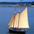 Schooner and Tall Ship Alert