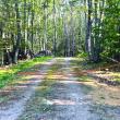 Peter Mullin's property in Boothbay with a chain across the driveway and a sign that reads "not for sale."