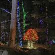 Gardens Aglow. STEVE EDWARDS/Boothbay Register