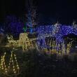 Gardens Aglow. STEVE EDWARDS/Boothbay Register