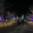 Gardens Aglow. STEVE EDWARDS/Boothbay Register