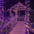 Gardens Aglow. STEVE EDWARDS/Boothbay Register