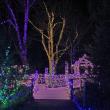 Gardens Aglow. STEVE EDWARDS/Boothbay Register