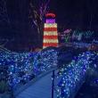 Gardens Aglow. STEVE EDWARDS/Boothbay Register