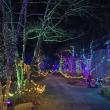 Gardens Aglow. STEVE EDWARDS/Boothbay Register