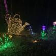 Gardens Aglow. STEVE EDWARDS/Boothbay Register