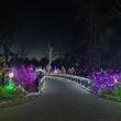 Gardens Aglow. STEVE EDWARDS/Boothbay Register