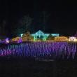 Gardens Aglow. STEVE EDWARDS/Boothbay Register