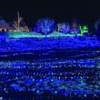 Gardens Aglow. STEVE EDWARDS/Boothbay Register