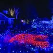 Gardens Aglow. STEVE EDWARDS/Boothbay Register