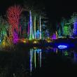 Gardens Aglow. STEVE EDWARDS/Boothbay Register