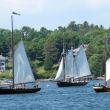 Boats gather in the outer harbor during Windjammer Days. STEVE EDWARDS/Boothbay Register