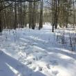 Cross River Preserve.  LISA KRISTOFF/Boothbay Register