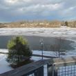 The open water at the mouth of the Cobbesseecontee Stream in Gardiner invites a flock of mallards each winter. (Photo courtesy of Jeff Wells)