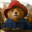 "Paddington In Peru" opens at the Harbor Theater Friday, March 14. Courtesy of the venue