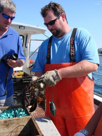 Caleb Hodgdon, lobster, Hilary Ribons, Boothbay Register