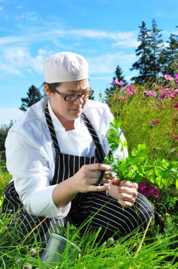 Fiona Dunlap's petite lobster bake wasn’t just something familiar to her – it was also the People’s Choice Award winner at Wednesday’s Claw Down. Dunlap, seen here plucking herbs from a garden, is Newagen Seaside Inn and Restaurant’s executive chef. BEN BULKELEY/Boothbay Register