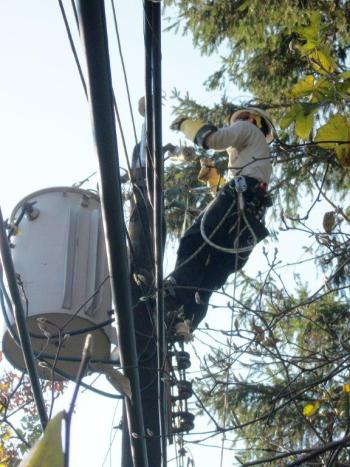 On target trucks, and others, in rural areas of Brewster, N.Y., cutting trees. Many were cradled on wires, holding up rewiring by linemen. Courtesy of Mike Giles