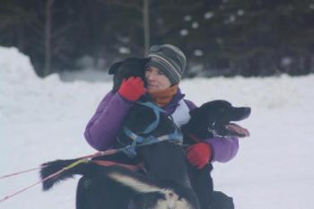 Heidi Sutter, sled dogs