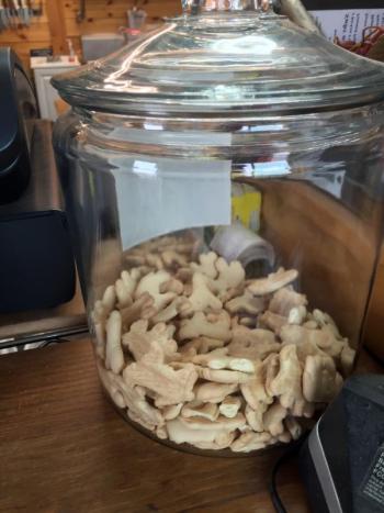 Carla Chapman, an animal lover, keeps a jar of animal crackers next to the cash register — for patrons and their dogs. Courtesy of Carla Chapman
