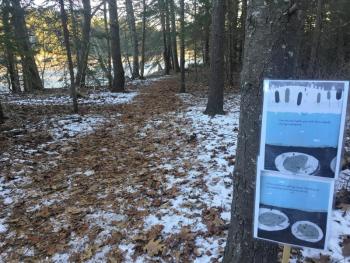 A distant, but not too distant, view of Hodgdon Cove is just ahead after one of the pages from “Over and Under the Snow,” along BRLT’s Story Trail. LISA KRISTOFF/Boothbay Register