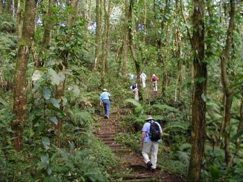 #bird-column, #La Soufrière volcano, #birds, #st-vincent, #jeff-and-allison-wells, #boothbay-register