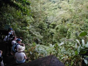 #bird-column, #La Soufrière volcano, #birds, #st-vincent, #jeff-and-allison-wells, #boothbay-register