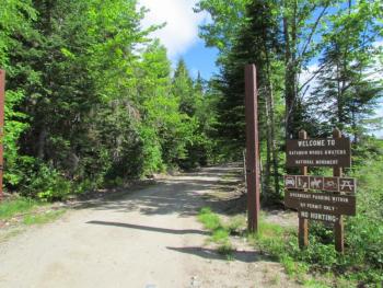 #bird-column, #jeff-and-allison-wells, #Boothbay-Register, #birds, #maine, #katahdin-woods-and-waters-national-monument