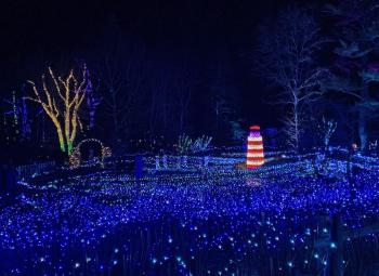 Gardens Aglow. STEVE EDWARDS/Boothbay Register