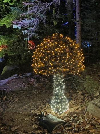 Gardens Aglow. STEVE EDWARDS/Boothbay Register