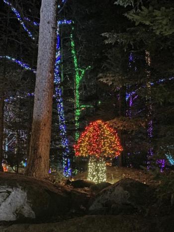 Gardens Aglow. STEVE EDWARDS/Boothbay Register