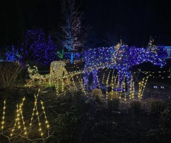 Gardens Aglow. STEVE EDWARDS/Boothbay Register