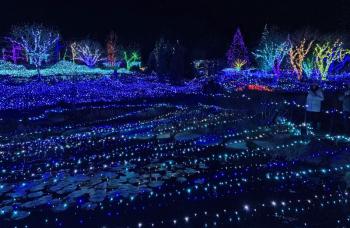 Gardens Aglow. STEVE EDWARDS/Boothbay Register