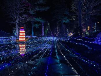 Gardens Aglow. STEVE EDWARDS/Boothbay Register