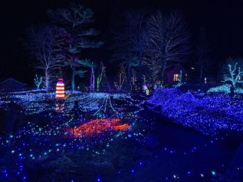 Gardens Aglow. STEVE EDWARDS/Boothbay Register