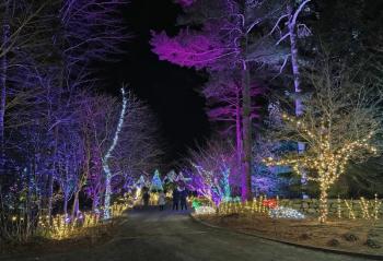 Gardens Aglow. STEVE EDWARDS/Boothbay Register