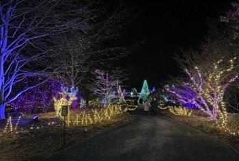 Gardens Aglow. STEVE EDWARDS/Boothbay Register