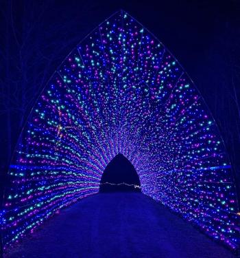 Gardens Aglow. STEVE EDWARDS/Boothbay Register