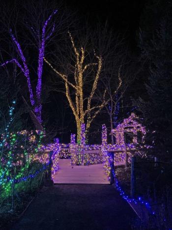 Gardens Aglow. STEVE EDWARDS/Boothbay Register