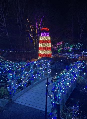 Gardens Aglow. STEVE EDWARDS/Boothbay Register