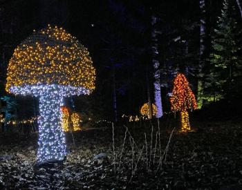 Gardens Aglow. STEVE EDWARDS/Boothbay Register