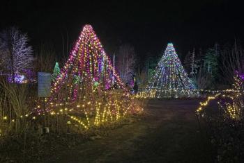 Gardens Aglow. STEVE EDWARDS/Boothbay Register