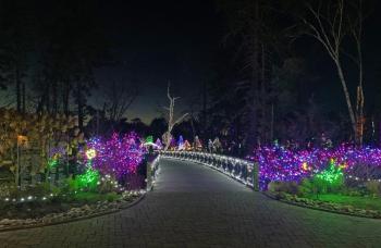 Gardens Aglow. STEVE EDWARDS/Boothbay Register