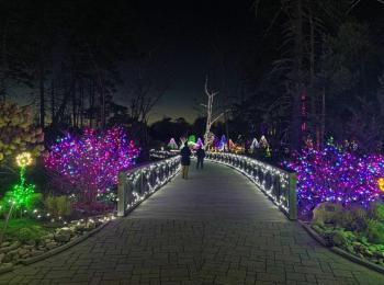 Gardens Aglow. STEVE EDWARDS/Boothbay Register