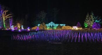 Gardens Aglow. STEVE EDWARDS/Boothbay Register